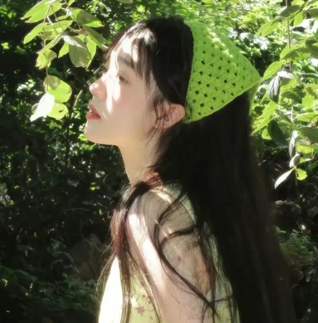 少数意见封面